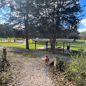 Charter Doyle PetSafe Dog Park photo 1